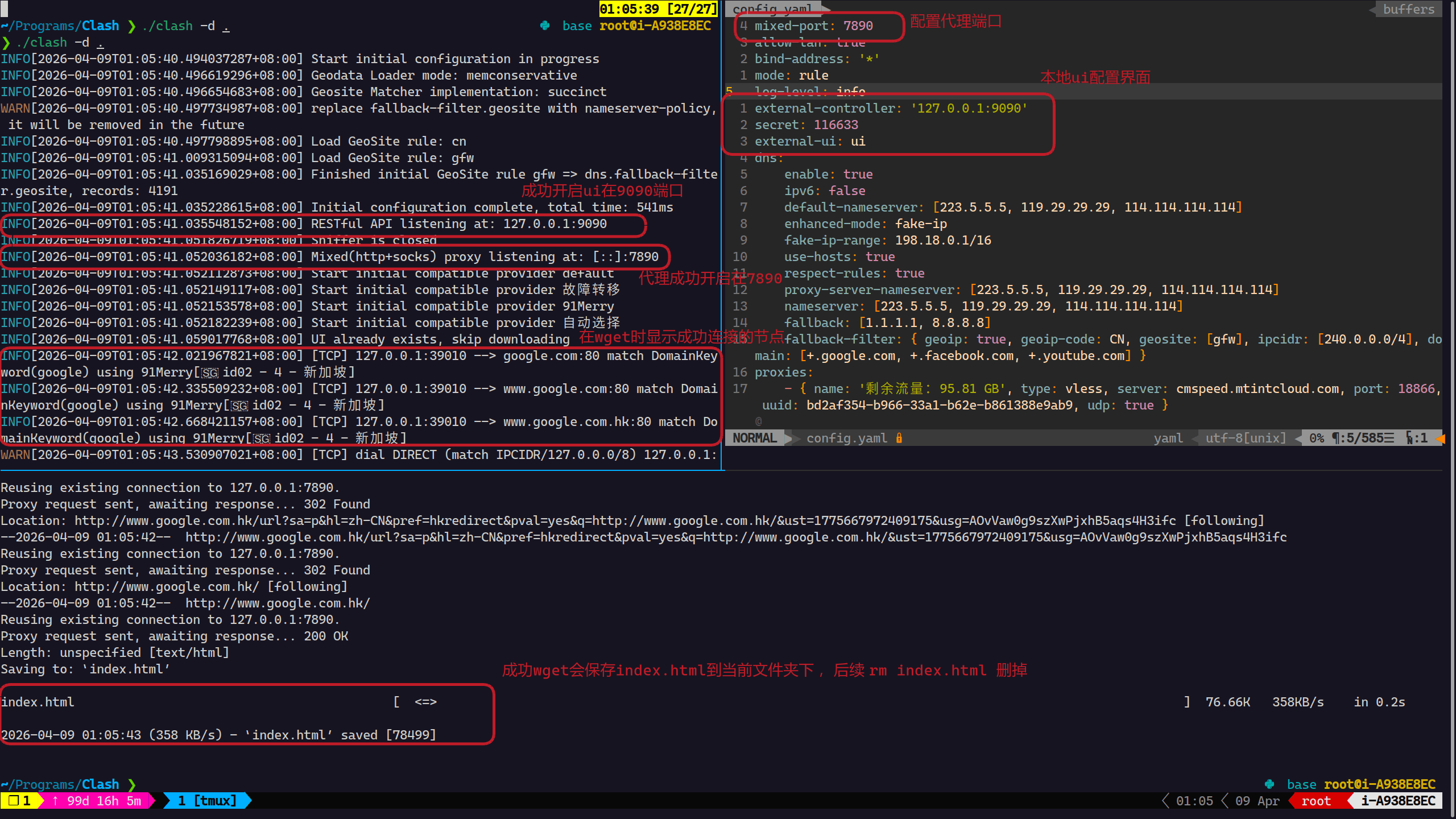 在tmux中启动clash内核（左上角启动了Clash内核，右上角为config.yaml文件，下方wget google.com测试是否能连上google）